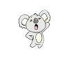 Koala bear