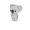 Koala bear