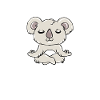 Koala bear