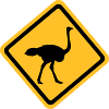 Ostrich