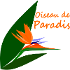 Bird of Paradise