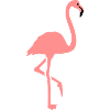 Flamant