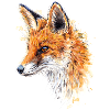 Fuchs | fox