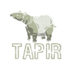 Tapir