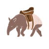 Tapir