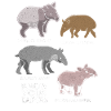 Tapir