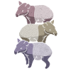 Tapir