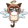 Angel Cat Grumpy