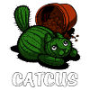 Catcus Cactus Cat