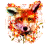 Aquarell Fuchs
