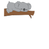 Koala - Kaolabar - Koalas - Motivation - Sarcasm