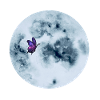Moon with galaxy butterfly