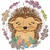 little cute hedgehog in hibernation