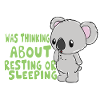 Koala bear