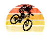 VTT de descente