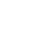 Cheval évolution