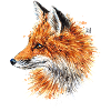 Fuchs | fox