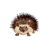 Igel Waldtier Tierfreund Geschenk