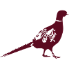 pheasant 1