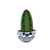 CUTE PINCUSHION CACTUS POT