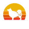 Islandhund