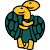 Sweet Cute Tortoise Couple