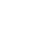 Digital Pioneer