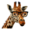 giraffe