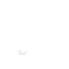 Dragon Chinese Zodiac Sign