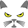Katze cool gesicht