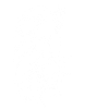 Lion le roi des animaux.