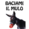 Baciami il mulo