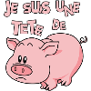 Je suis une tête de...