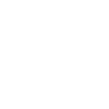 Avion pilote