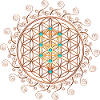 Livets blomma, Sephiroth, Kabbalah, Livets träd