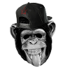 Cooler Affe