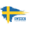 Sweden Flag Splash Pride