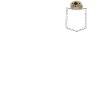 Cute Otter Shirt