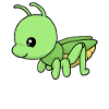 Small grasshopper