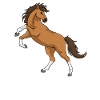 Pferd