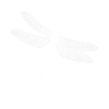 Libellule