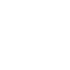 Vinyle Junkie