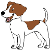 JACK RUSSELL
