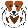 JACK RUSSELL