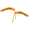céréales