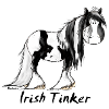 Funny Irish Tinker Horse - Pinto