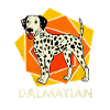 Dalmatian