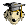 Dalmatian