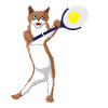 Cat spiller tennis kat tennis tennis ball meow