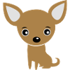 Funny Cute Baby Chihuahua / Dog